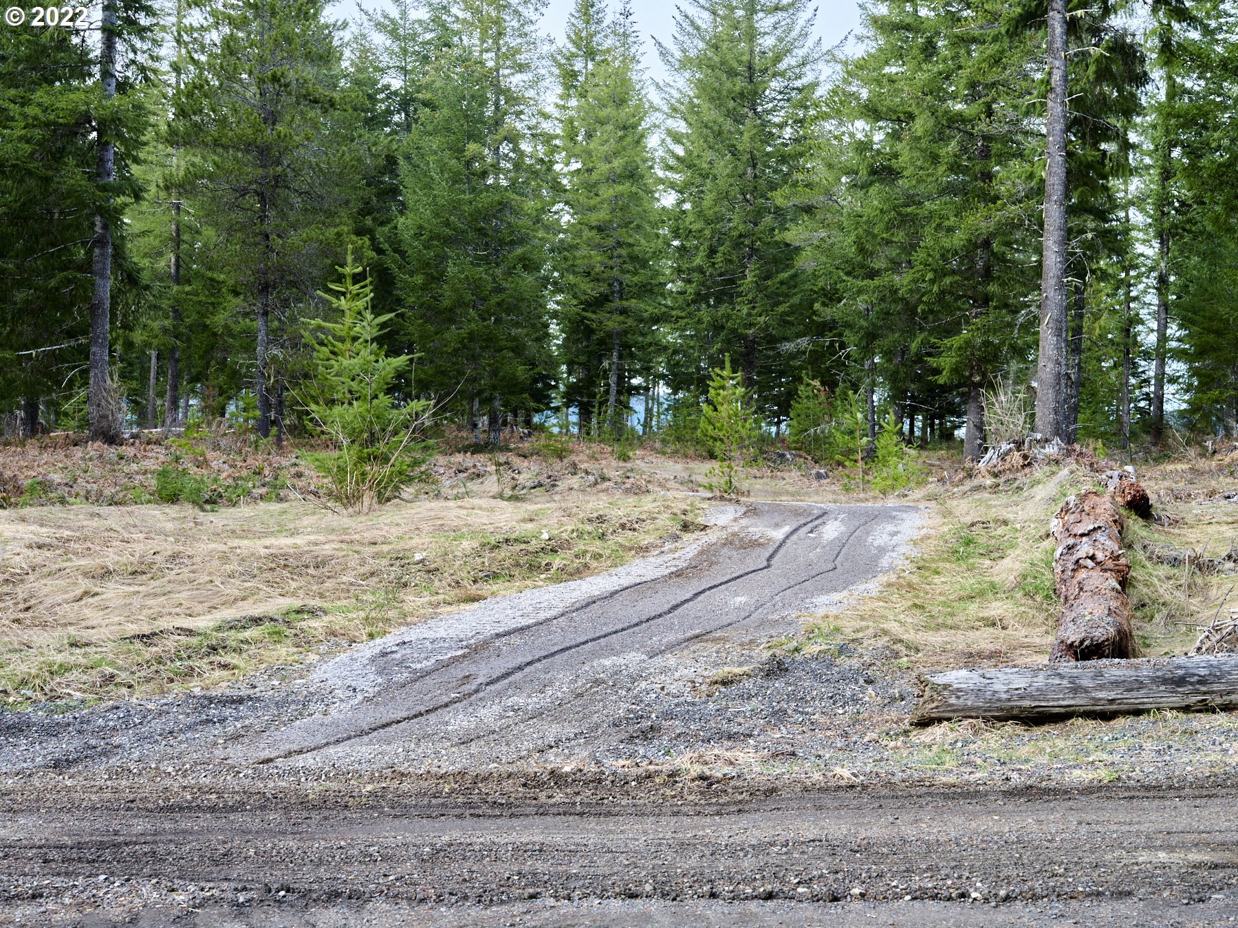 4 Loowit Lane Cougar, WA 98616 - Photo 2 of 12