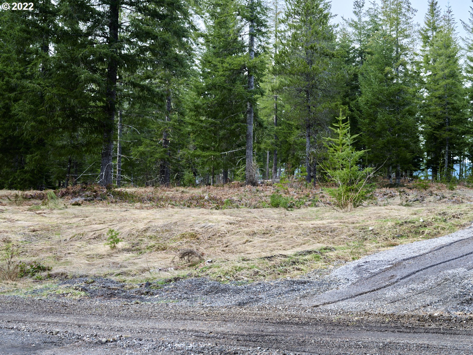 4 Loowit Lane Cougar, WA 98616 - Photo 3 of 12