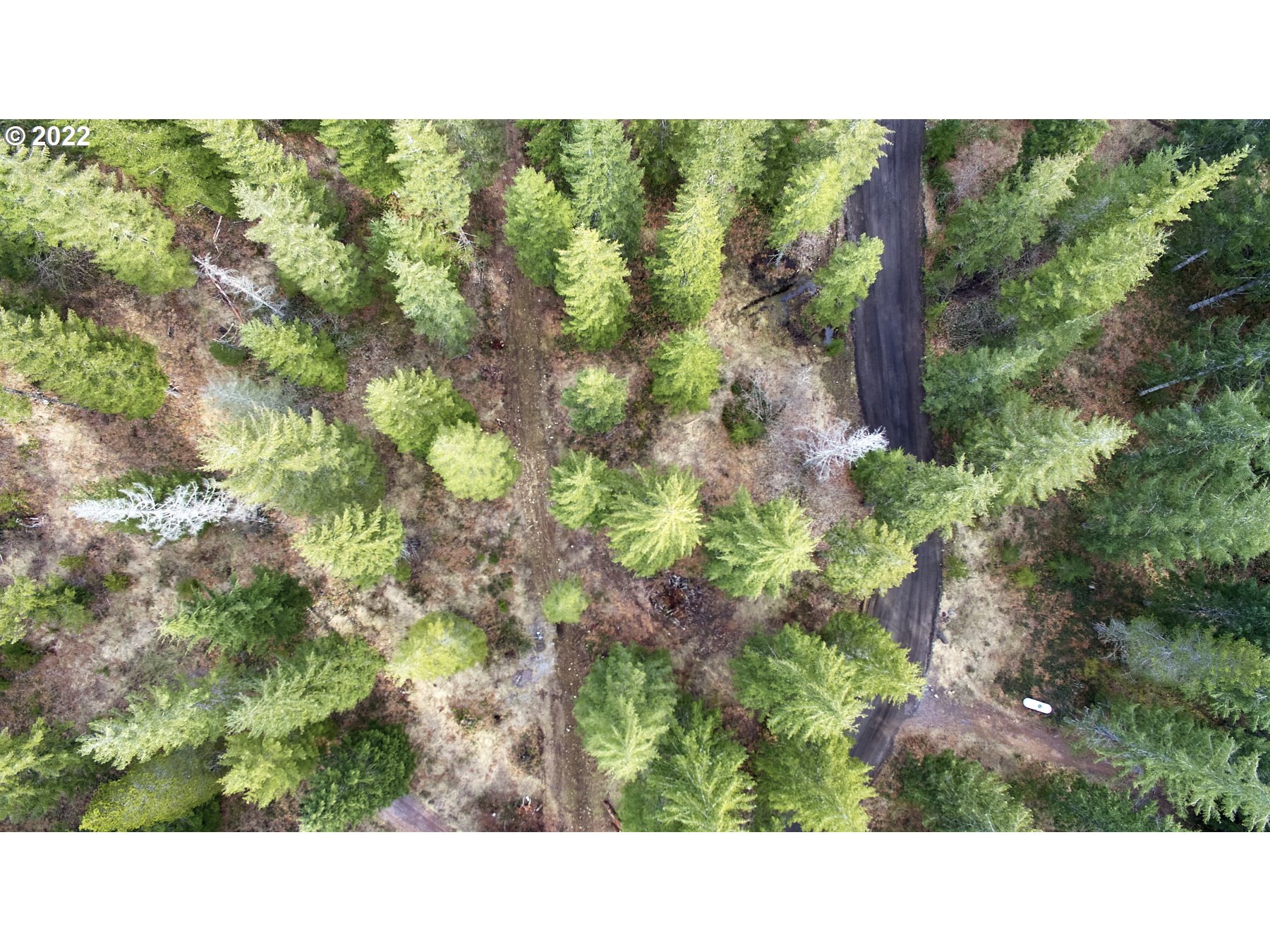 4 Loowit Lane Cougar, WA 98616 - Photo 7 of 12