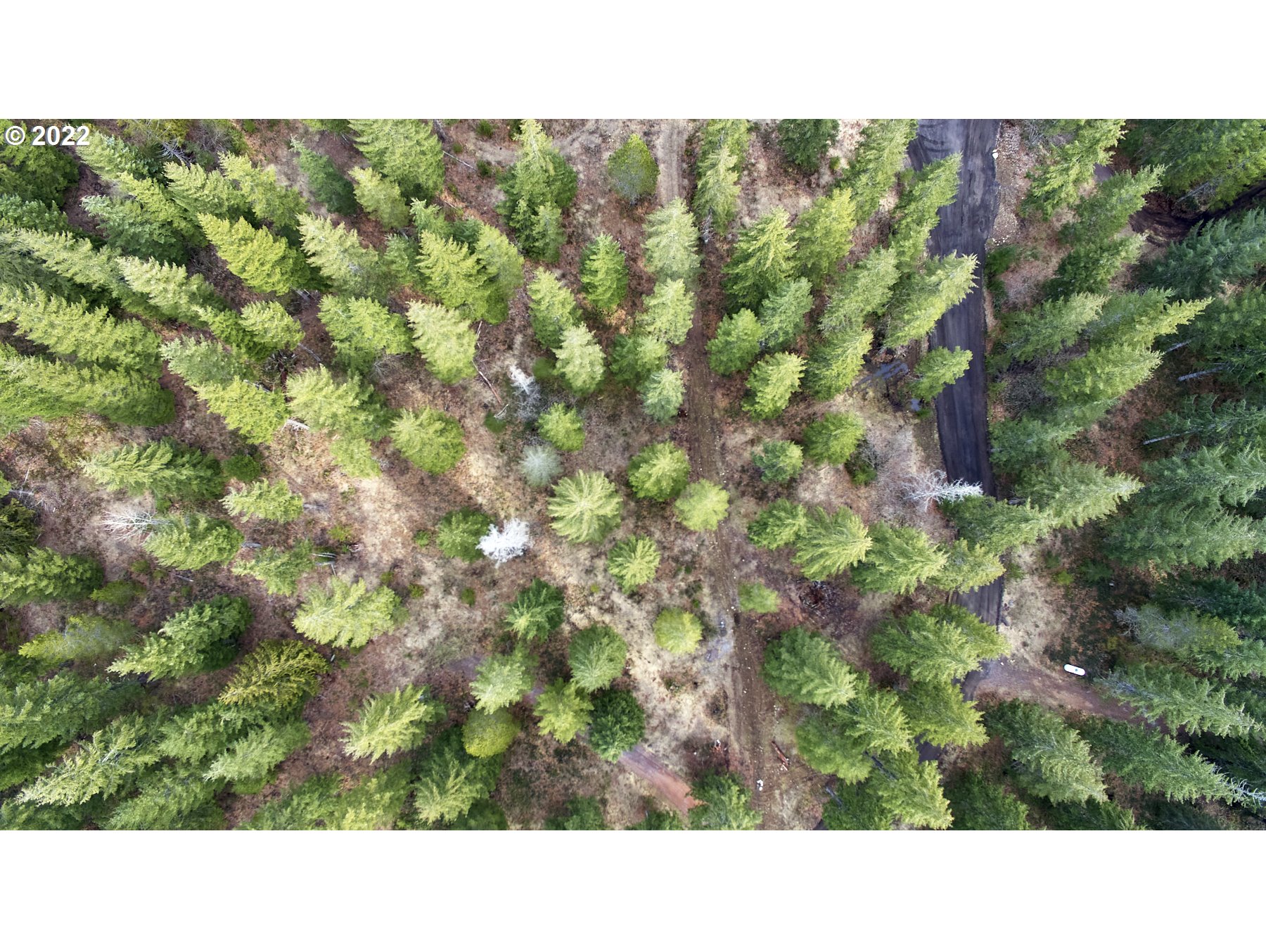 4 Loowit Lane Cougar, WA 98616 - Photo 8 of 12