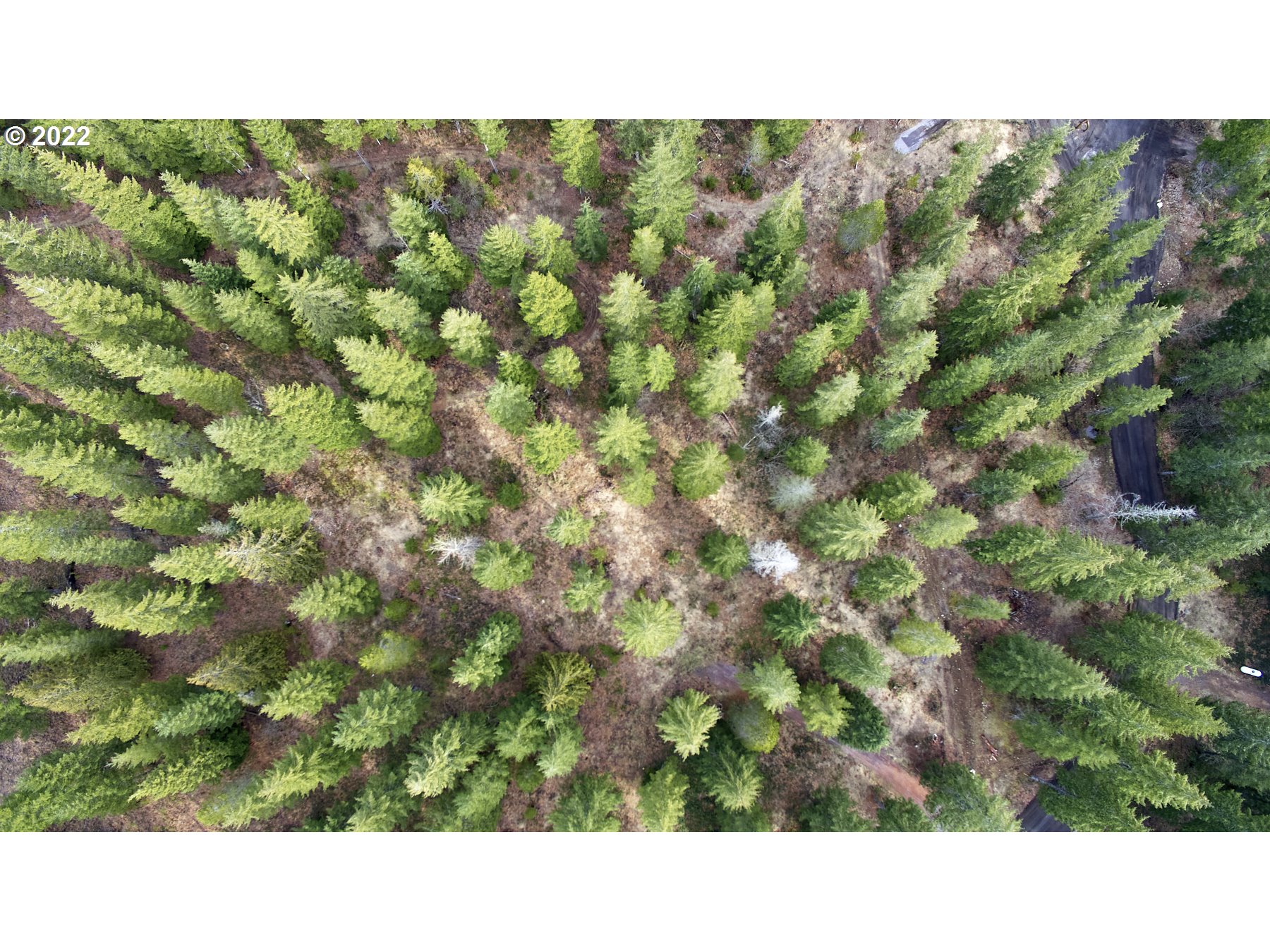 4 Loowit Lane Cougar, WA 98616 - Photo 9 of 12