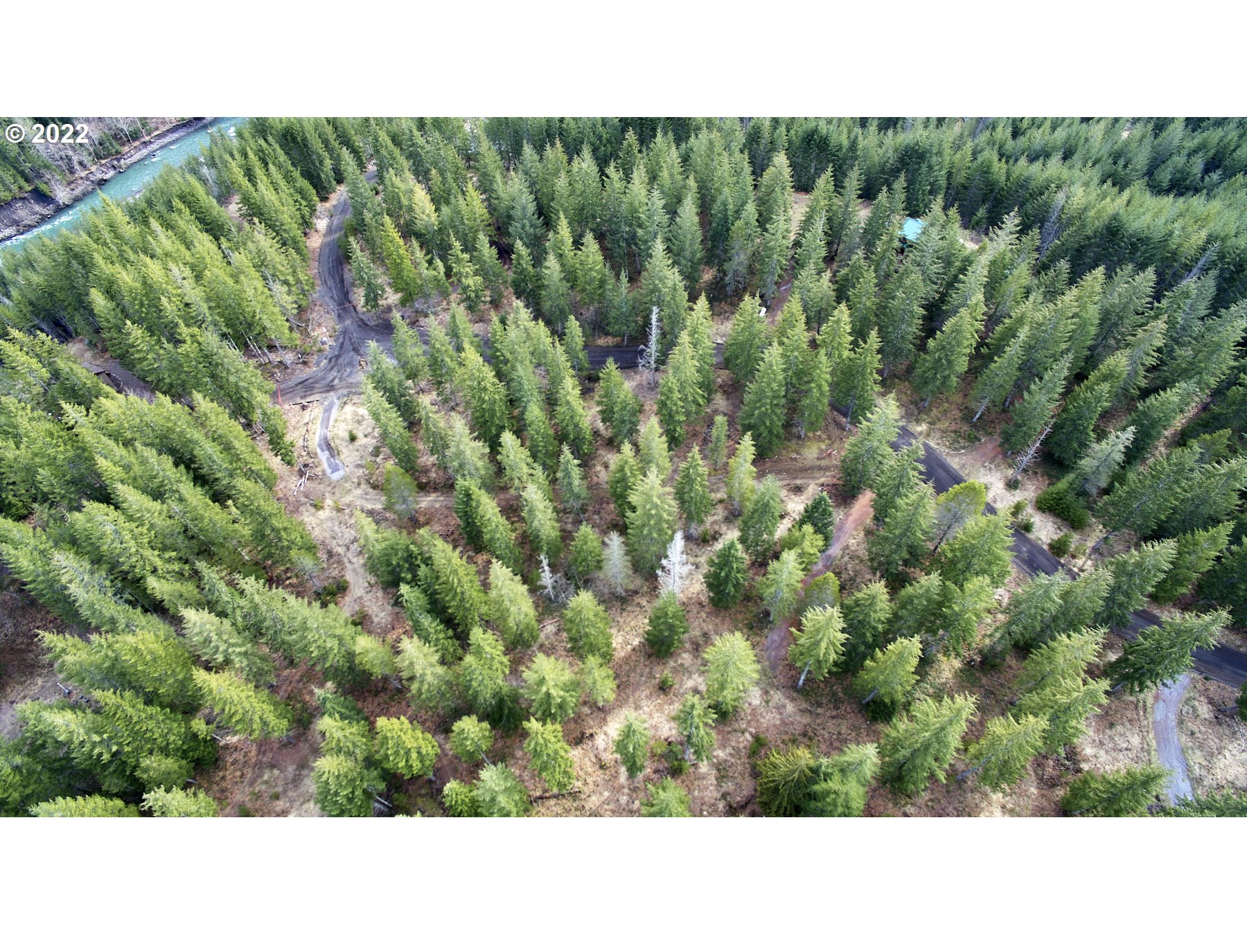 4 Loowit Lane Cougar, WA 98616 - Photo 10 of 12