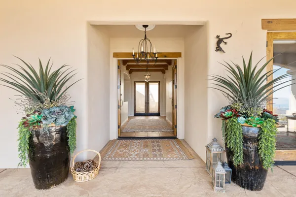 a view of entryway with potted plants