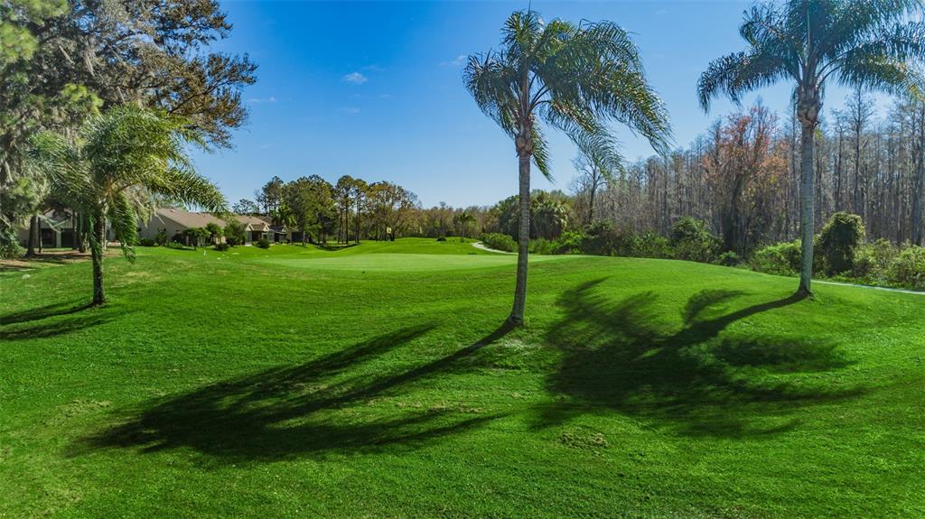 9713 Sweeping View Drive New Port Richey, FL 34655 - Photo 74 of 75 Gallery Image 74