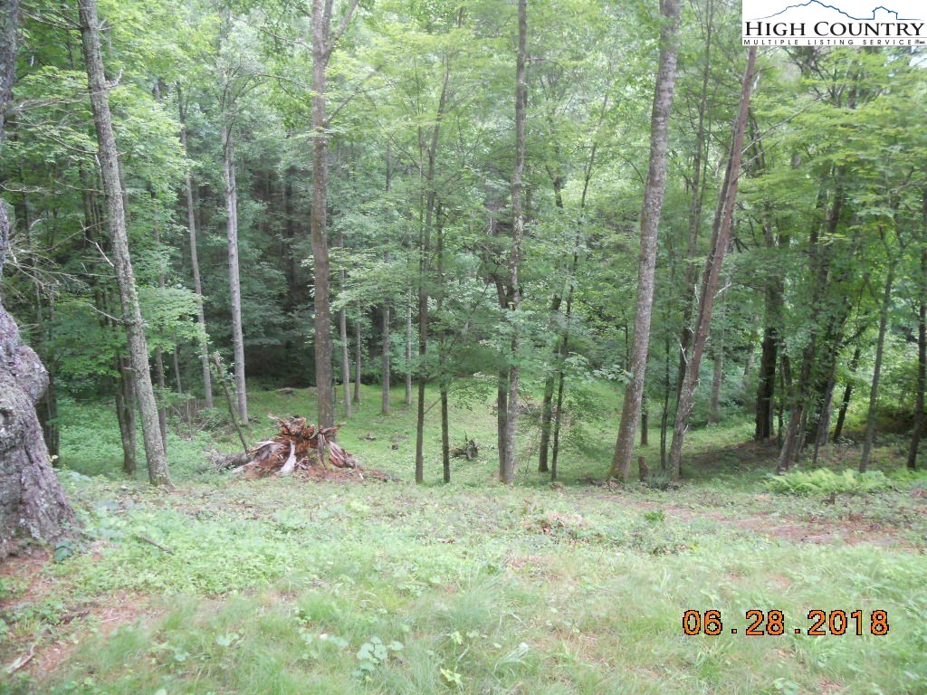 862 Bluestone Wild Road Banner Elk, NC 28604 - Photo 3 of 11 Gallery Image 3