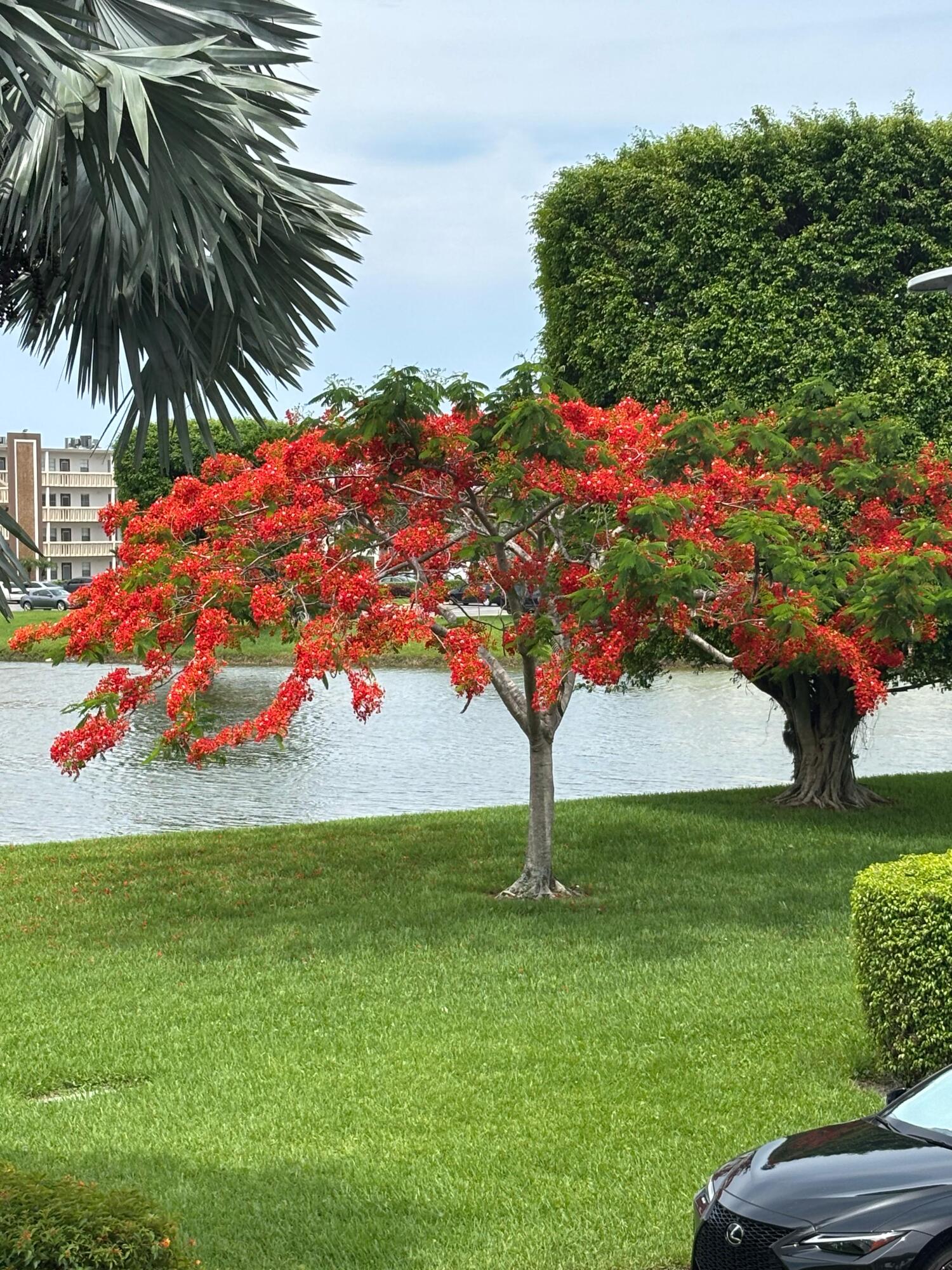 2038 Exeter C Boca Raton, FL 33434 - Photo 15 of 17 6d208bcd-58fa-4af6-9abd-d4f706e018bd