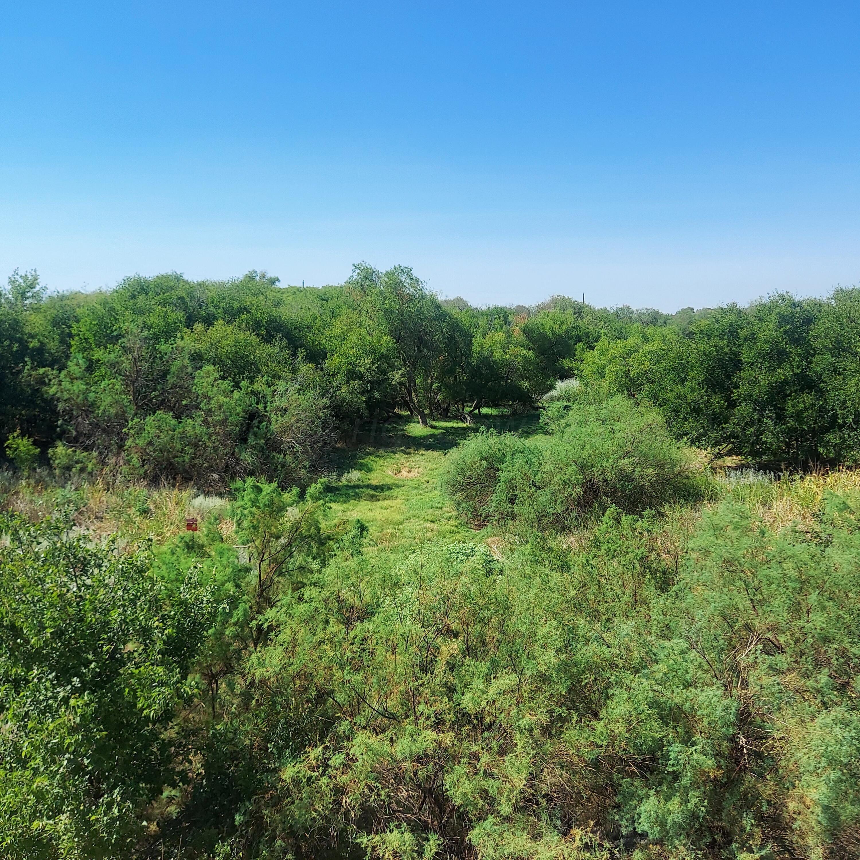 0 Us Highway Childress, TX 79201 - Photo 1 of 8 a view of a green field with lots of bushes