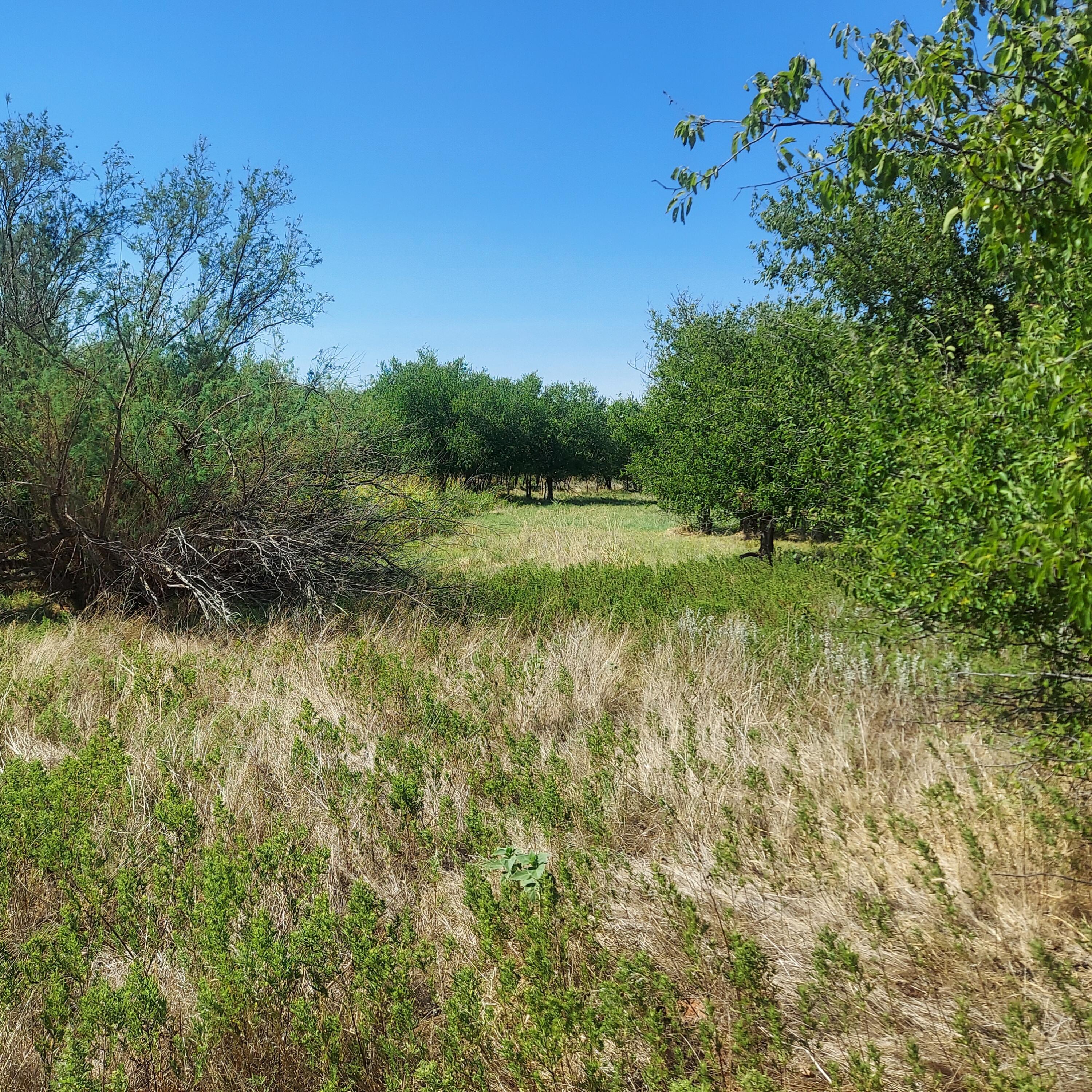 0 Us Highway Childress, TX 79201 - Photo 3 of 8 a view of outdoor space and yard