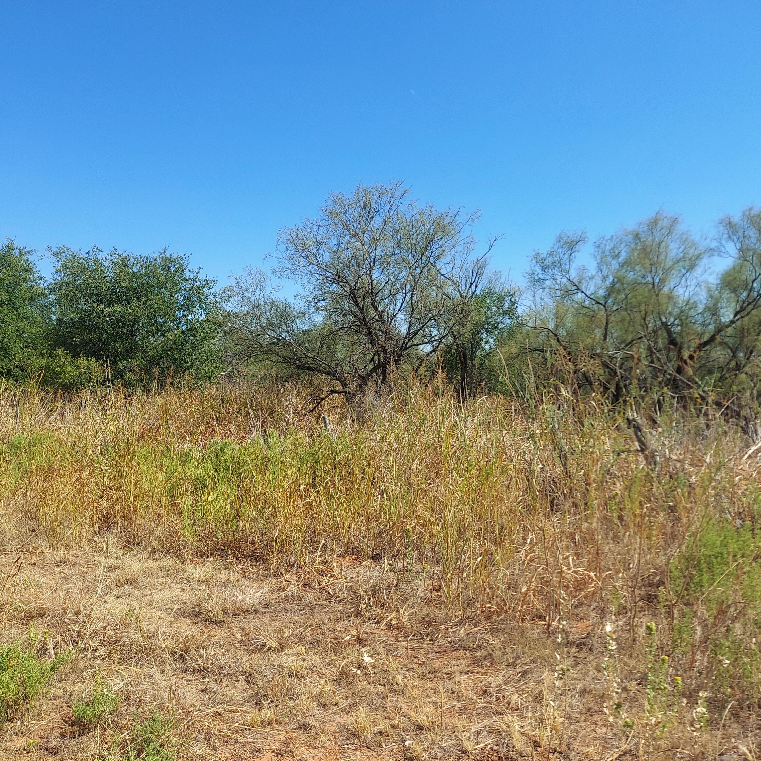 0 Us Highway Childress, TX 79201 - Photo 6 of 8
