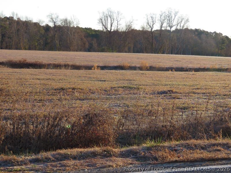 Raynham Road Fairmont, NC 28340 - Photo 5 of 9 a view of a yard