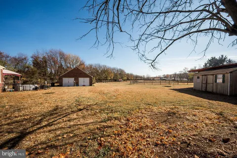 a view of road with large trees