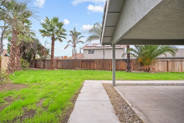 a view of a backyard with palm tree