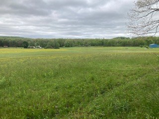 0 Warner Road Kennerdell, PA 16374 - Photo 11 of 13 a view of a green field with lots of green space