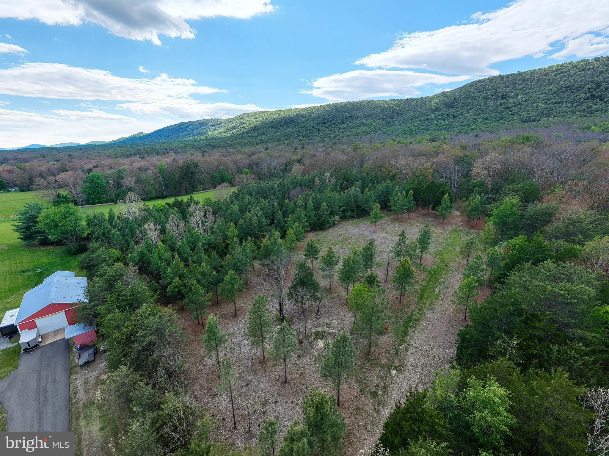 Boliver Road Fort Valley, VA 22652 - Photo 43 of 49 Gallery Image 43