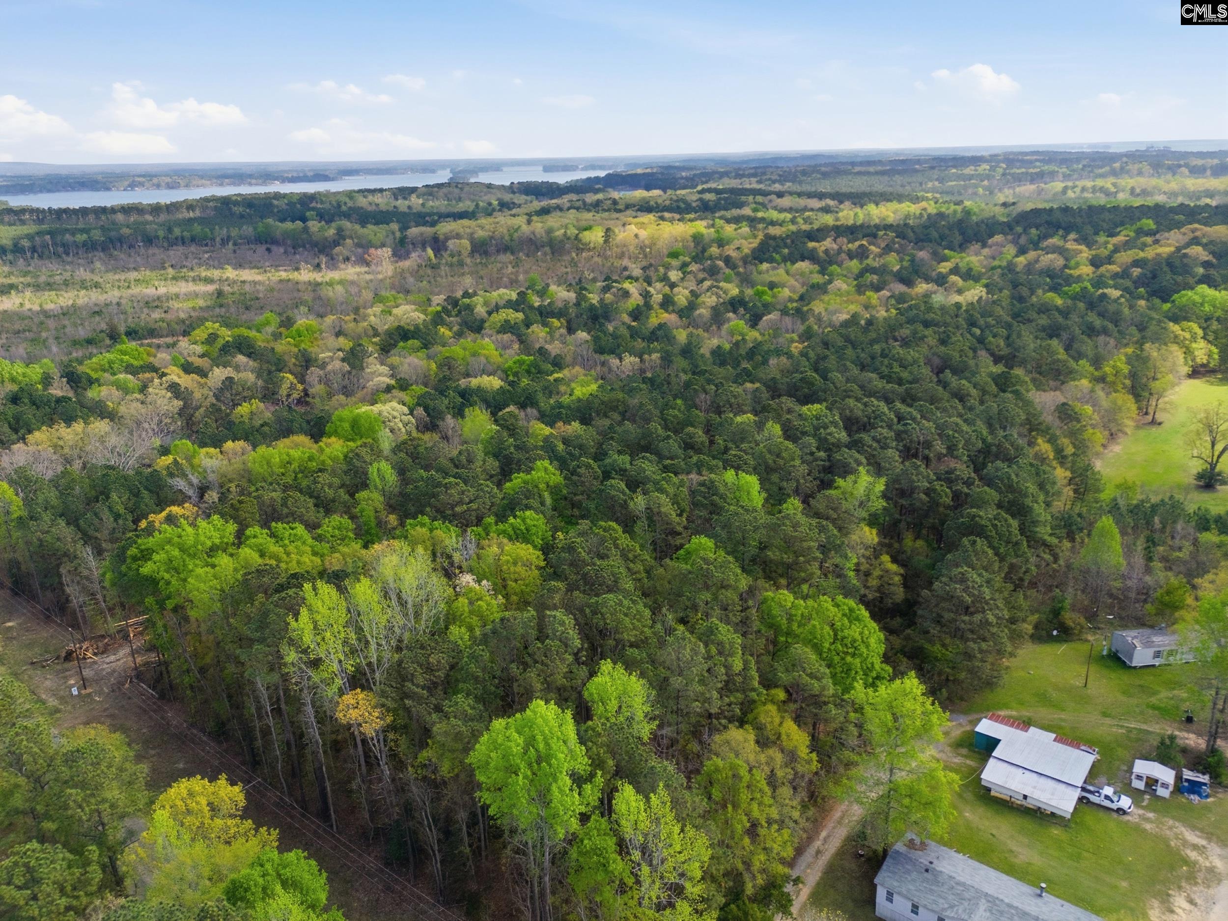 0 Wildwood Rd Extension Leesville, SC 29070 - Photo 2 of 16