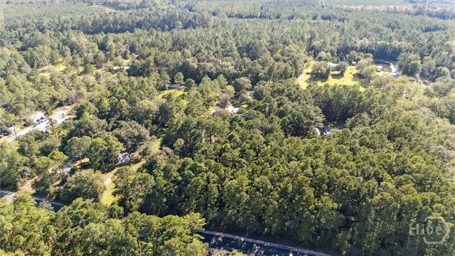 $389,000 | 479 Mannie English Road, Ellabell, GA 31308