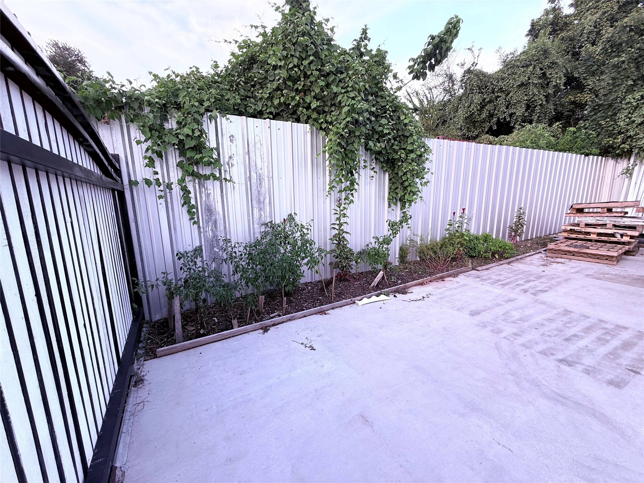 6325 Cullen Boulevard Houston, TX 77021 - Photo 13 of 18 A concrete backyard space featuring a metal fence with climbing greenery. There's a small garden bed along the fence and a stack of wooden pallets in the corner. Ideal for low-maintenance outdoor activities.