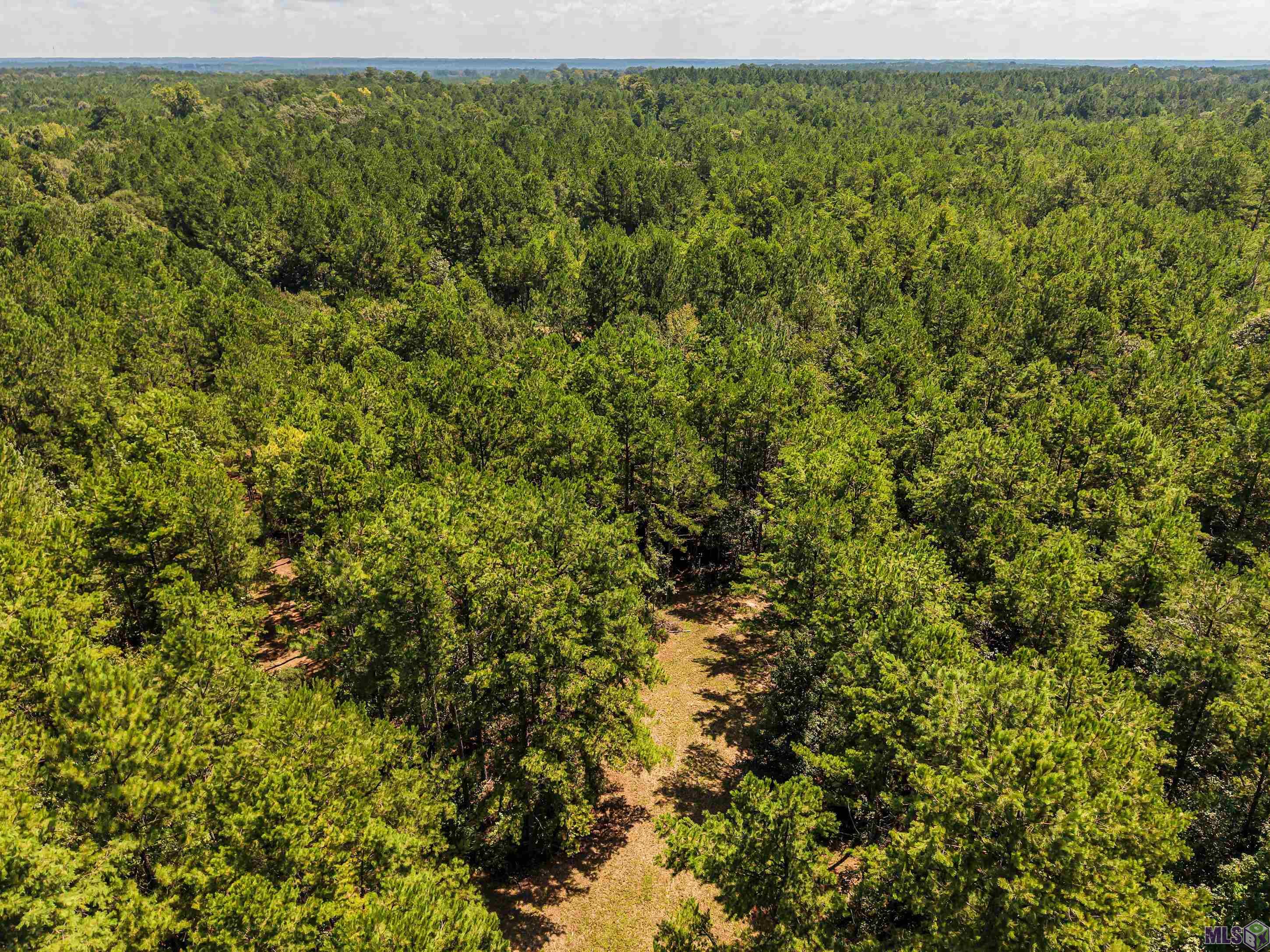 Tbd Jerusalem Road Liberty, MS 39645 - Photo 51 of 60 Gallery Image 51