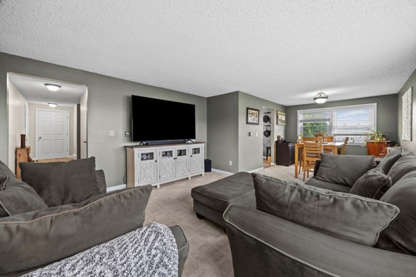 11046 West Scott Road Ridgeway, NY 14103 - Photo 9 of 35 Family Room into Dining Room