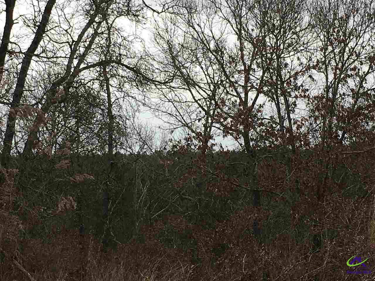 Jordan Road Byron, GA 31008 - Photo 1 of 1