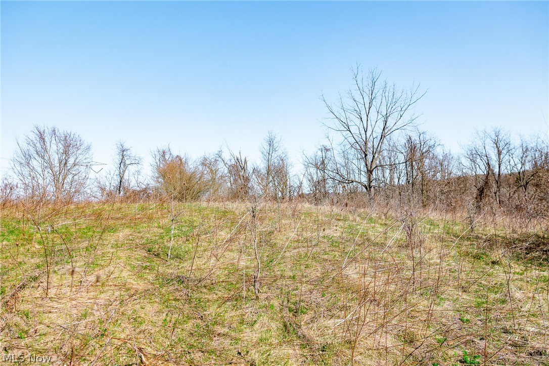 135 Township Road Adena, OH 43901 - Photo 8 of 47