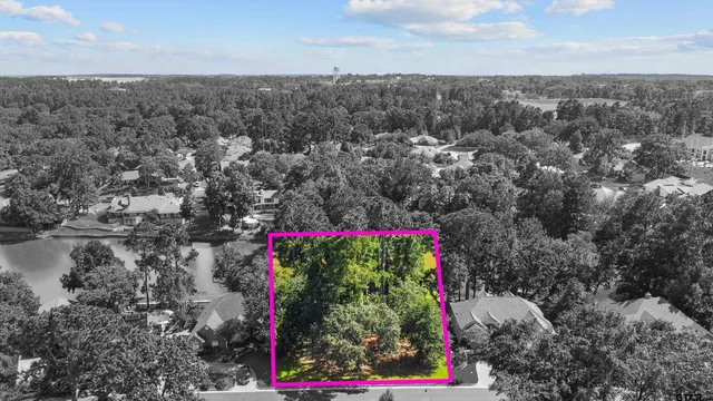 a picture of city and tree
