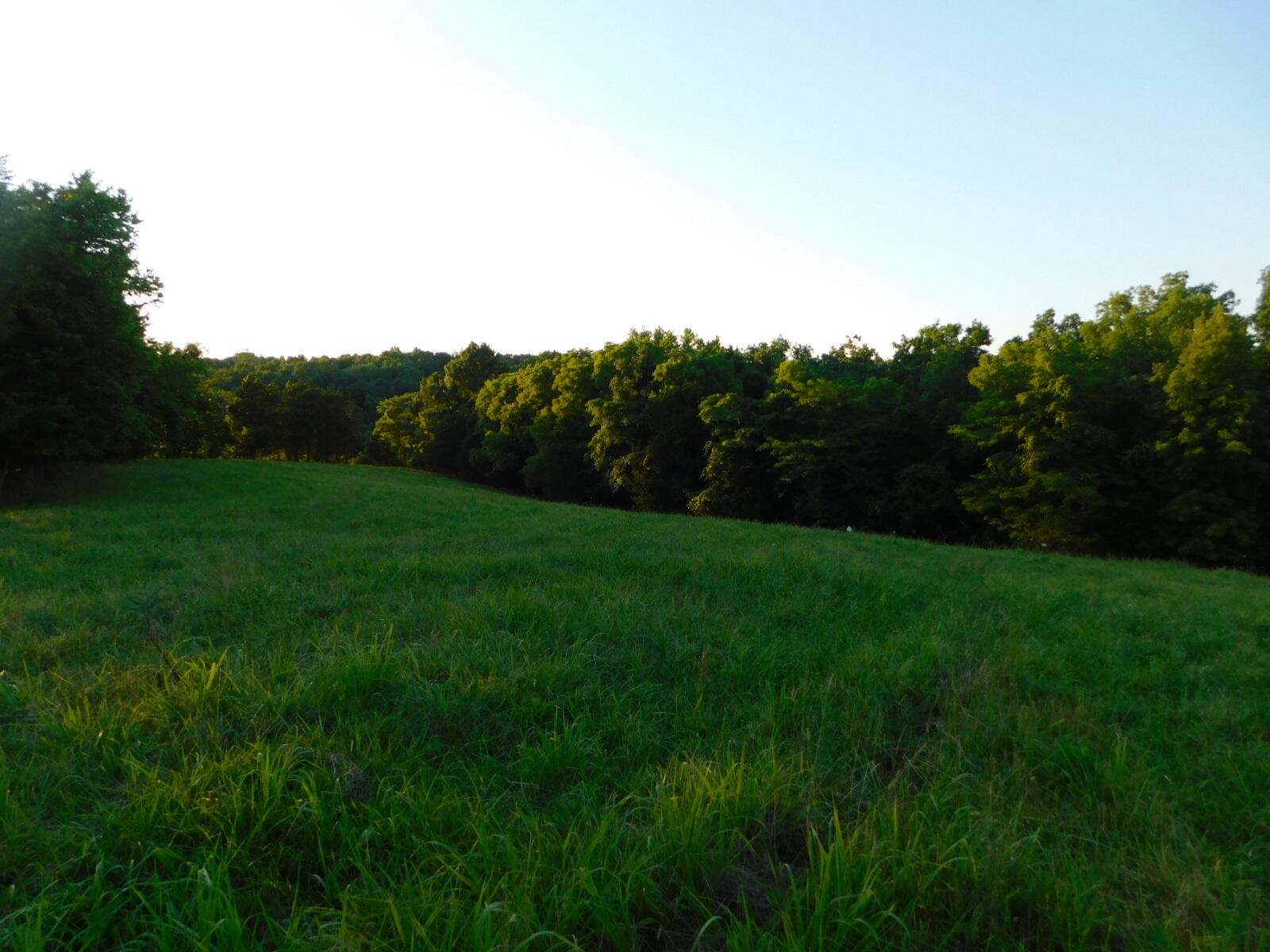 14840 New Columbus Road Corinth, KY 41010 - Photo 15 of 21 Gallery Image 15
