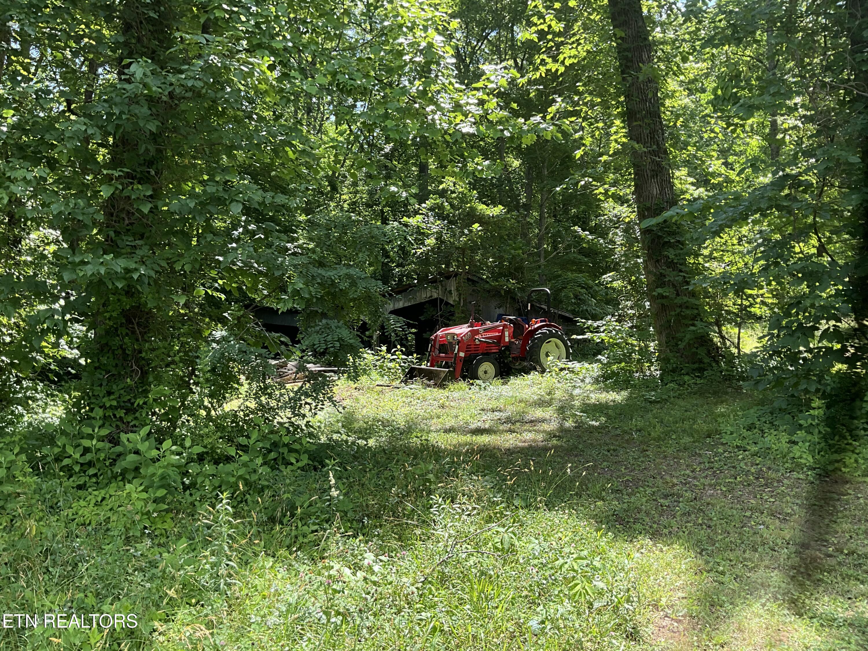 1295 Ailor Gap Road Luttrell, TN 37779 - Photo 36 of 40 IMG_1608