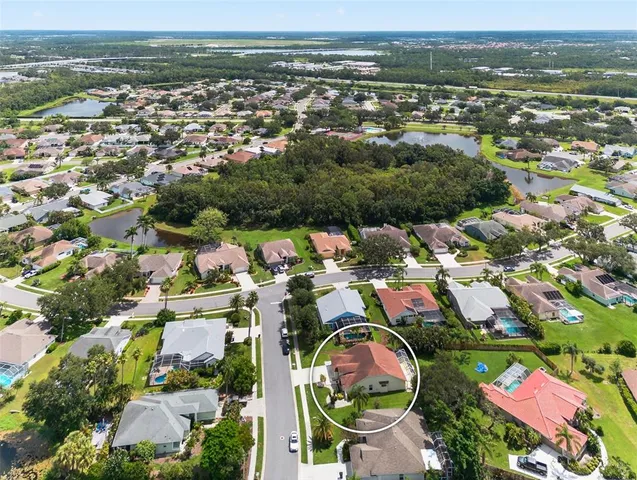 a park with bench and trees