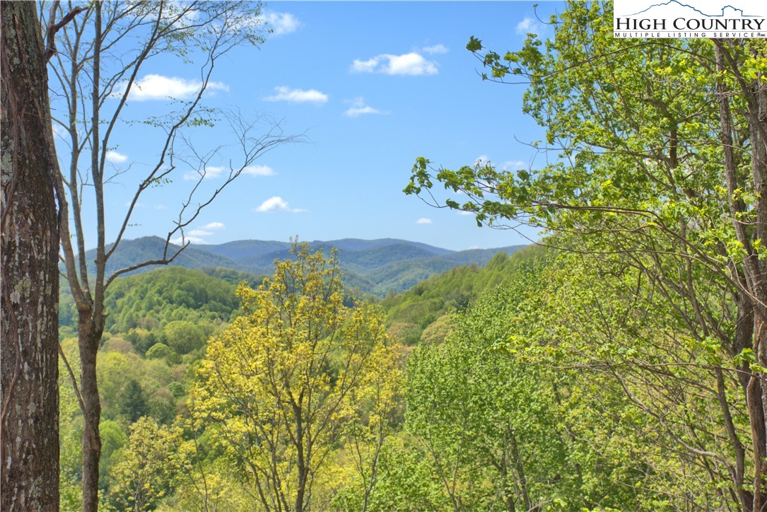 Off Parsons Hill Road Lansing, NC 28643 - Photo 5 of 18