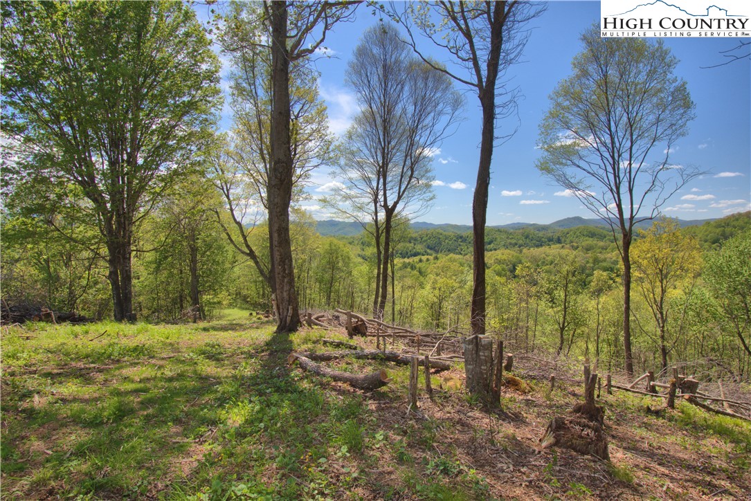 Off Parsons Hill Road Lansing, NC 28643 - Photo 7 of 18 a view of outdoor space with trees