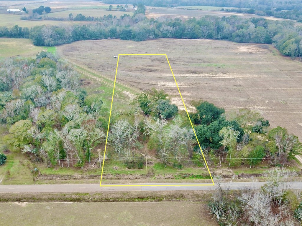 3161 Cedar Springs Road Ashford, AL 36312 - Photo 2 of 16