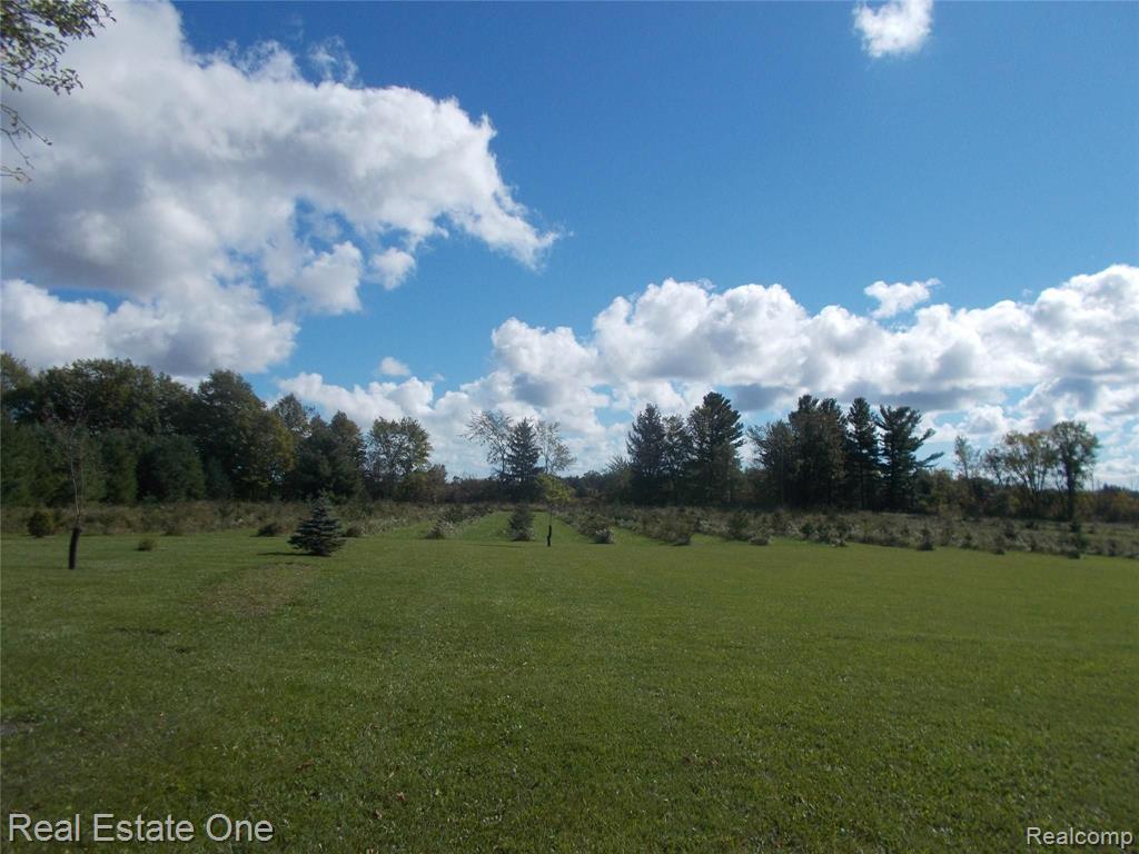 6438 Burtch Road Jeddo, MI 48032 - Photo 6 of 35 Gallery Image 6