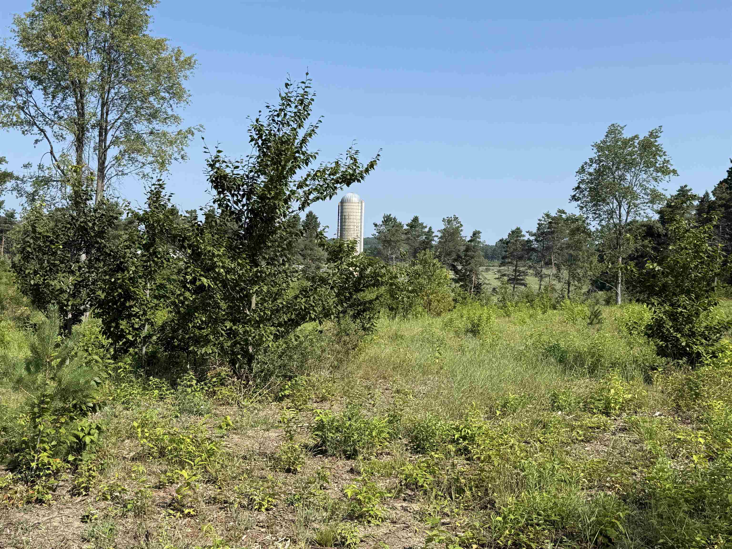 3 East Kasson Road, Unit LOT: A3 Maple City, MI 49664 - Photo 10 of 12