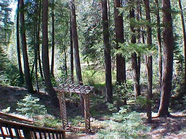 8056 Fallen Cedar Road Shingletown, CA 96088 - Photo 2 of 10 Back Deck View