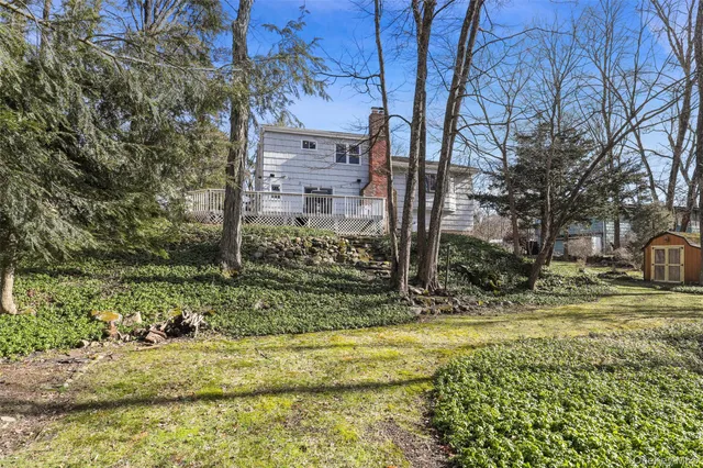 a view of a yard with plants