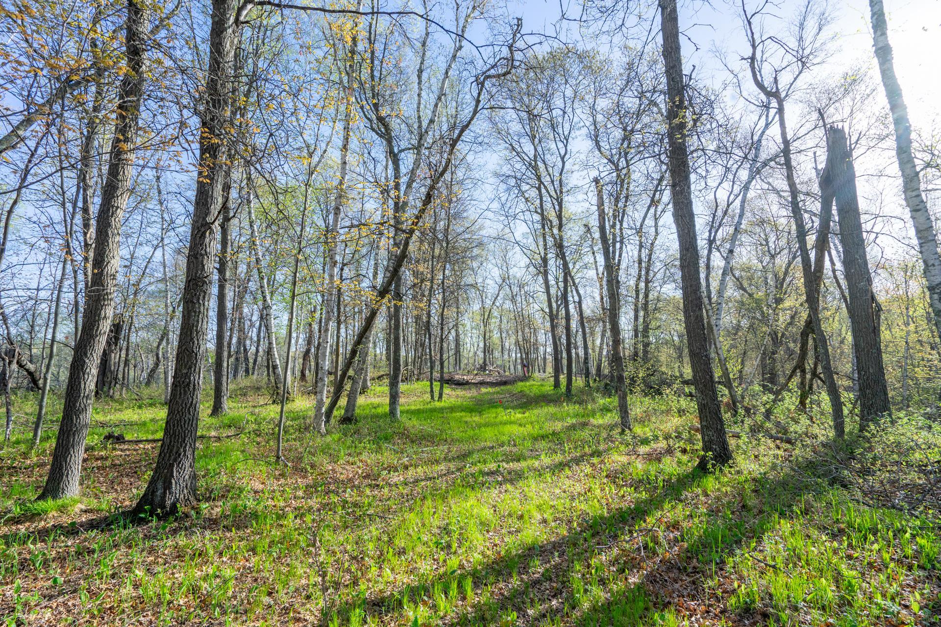 Xxx Timber Ridge Drive Baxter, MN 56425 - Photo 20 of 38