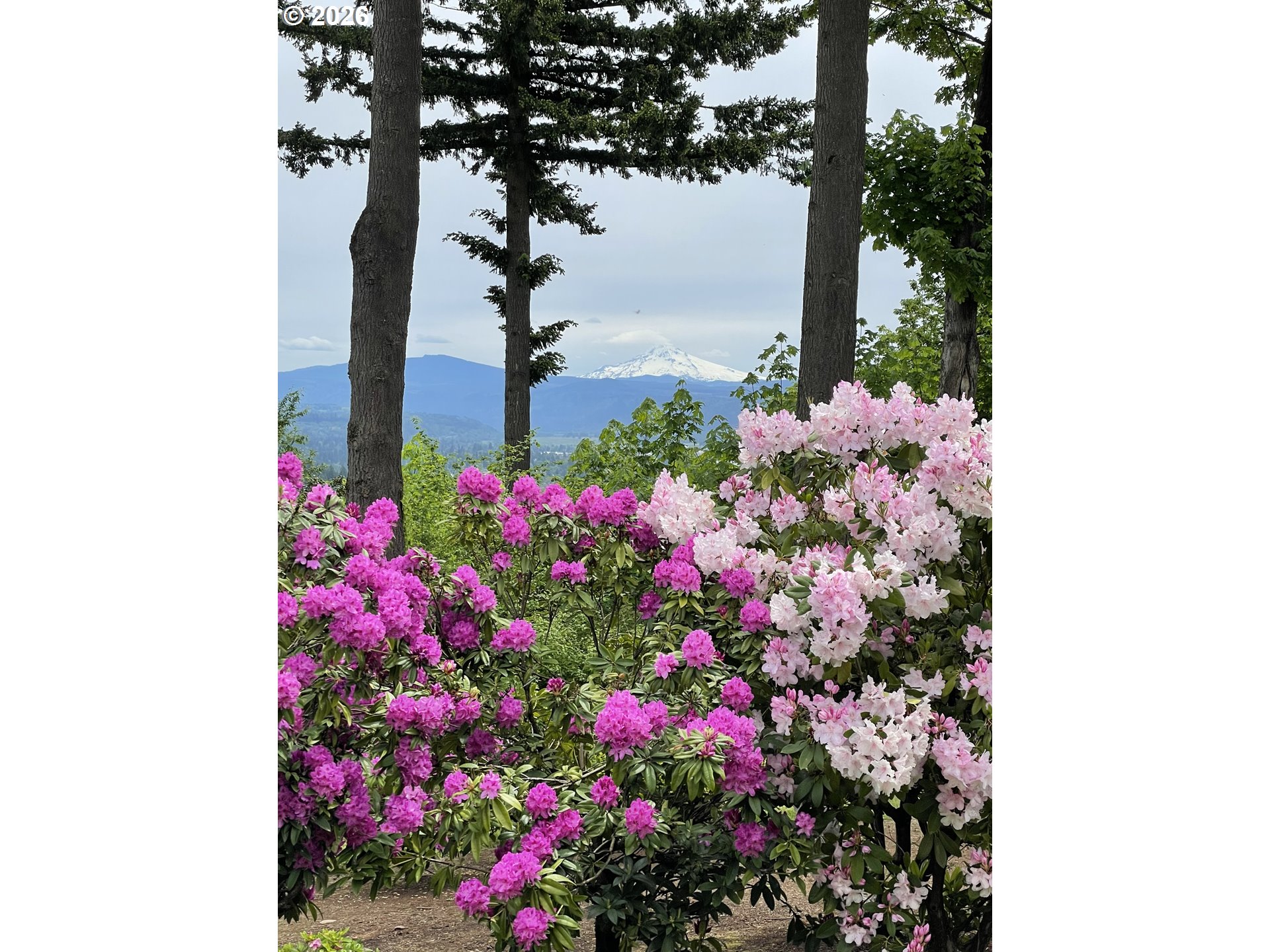 2006 Northwest Fargo Loop Camas, WA 98607 - Photo 32 of 37