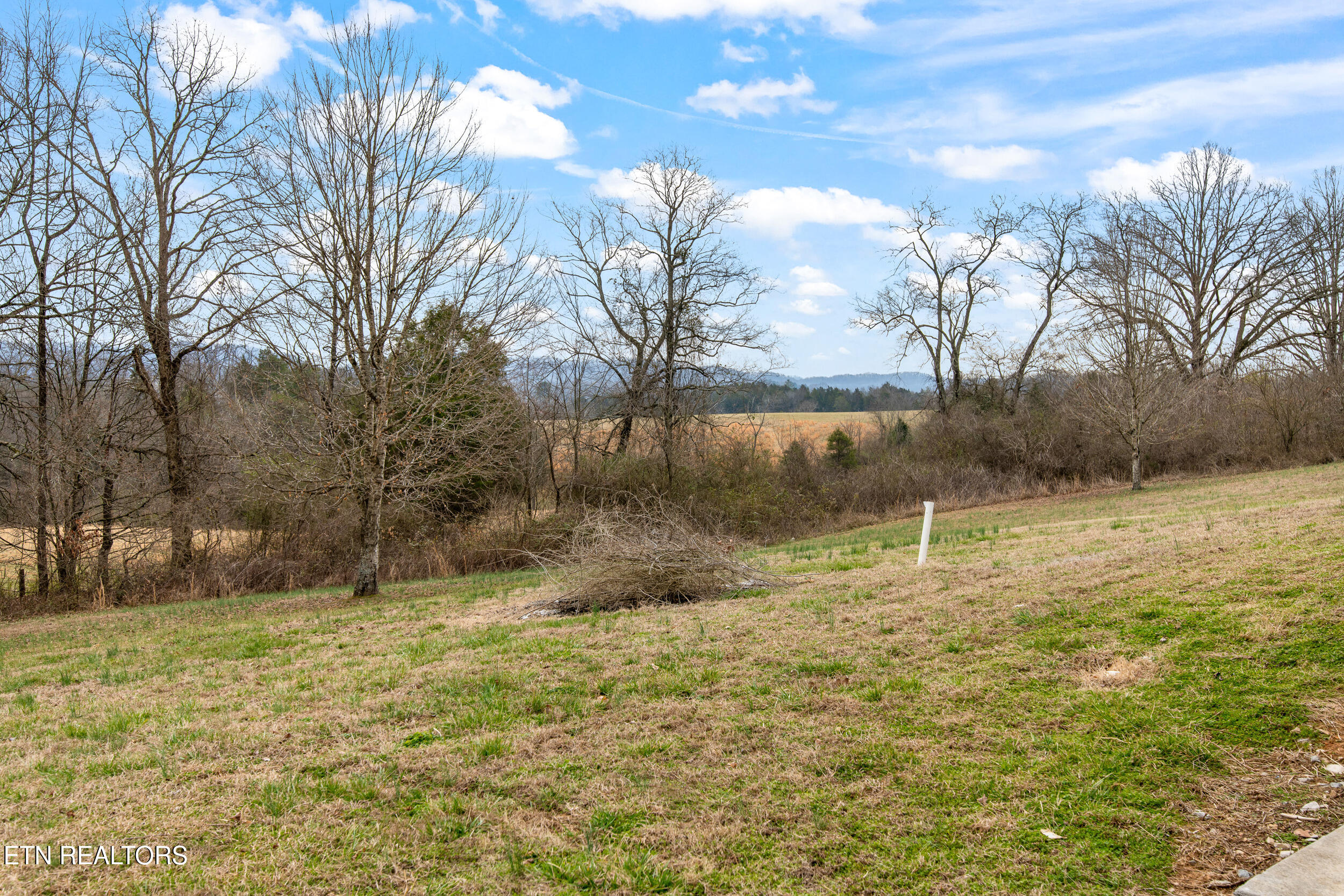 248 Red Hill Road Andersonville, TN 37705 - Photo 40 of 51 248 red hill road-44