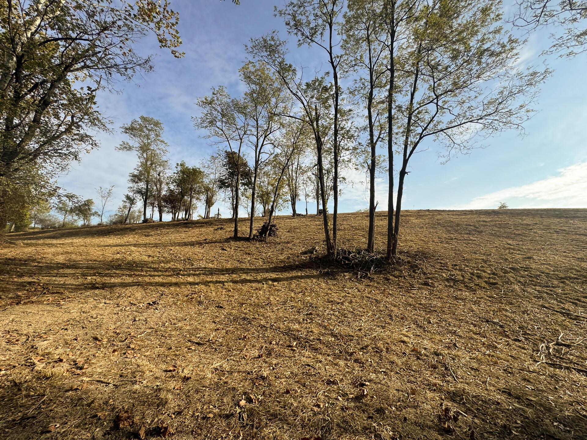 413 Gallipolis Road, Unit CLEARVIEW POND) Oak Hill, OH 45656 - Photo 58 of 88 CT-58