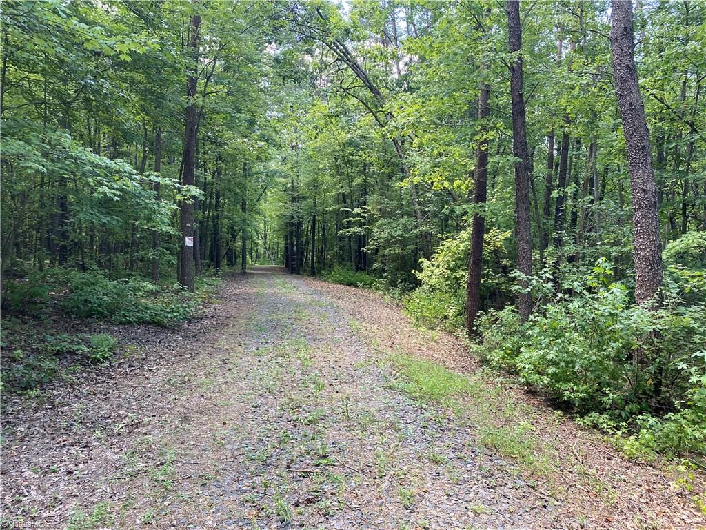 351 Newton Road Ruffin, NC 27326 - Photo 16 of 29