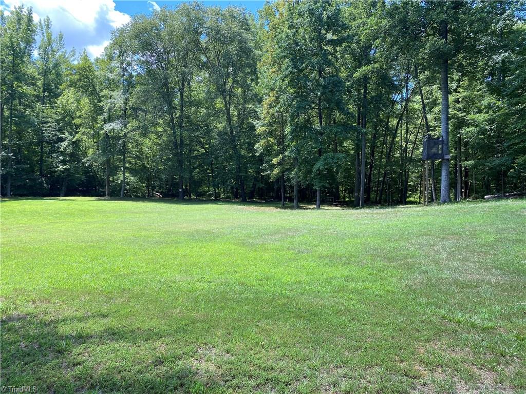 351 Newton Road Ruffin, NC 27326 - Photo 19 of 29