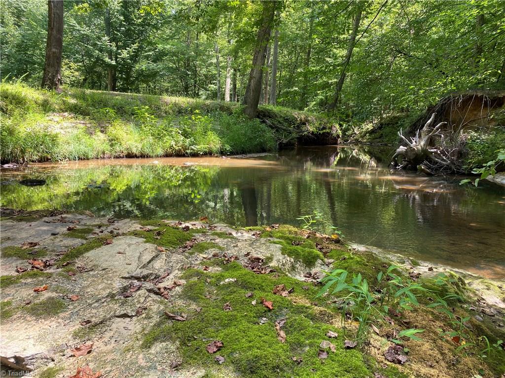 351 Newton Road Ruffin, NC 27326 - Photo 22 of 29