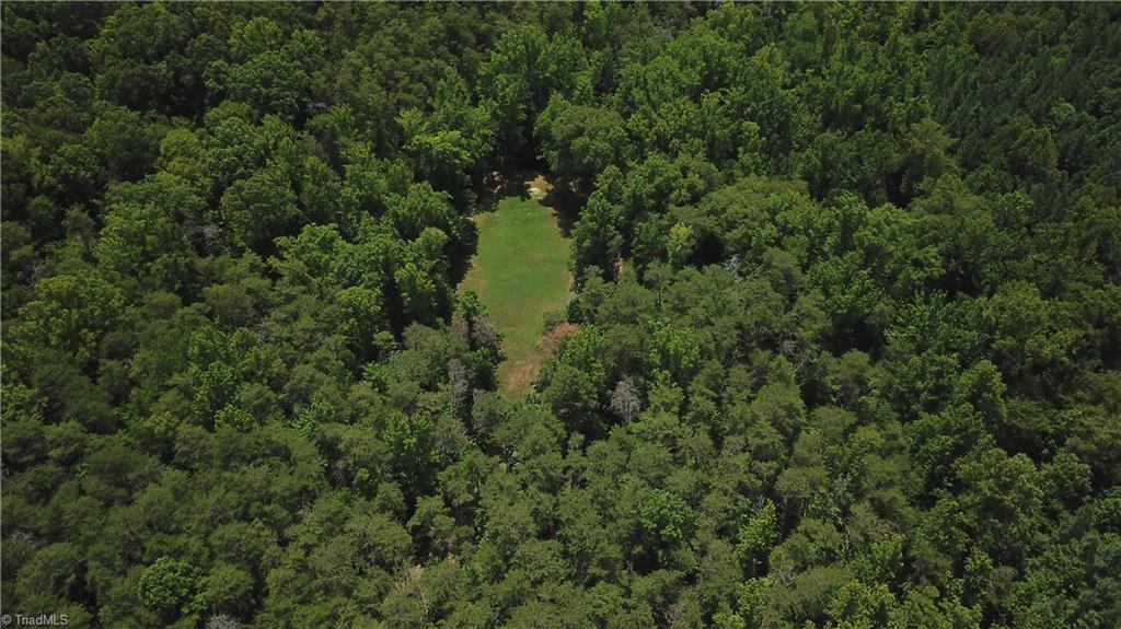 351 Newton Road Ruffin, NC 27326 - Photo 27 of 29