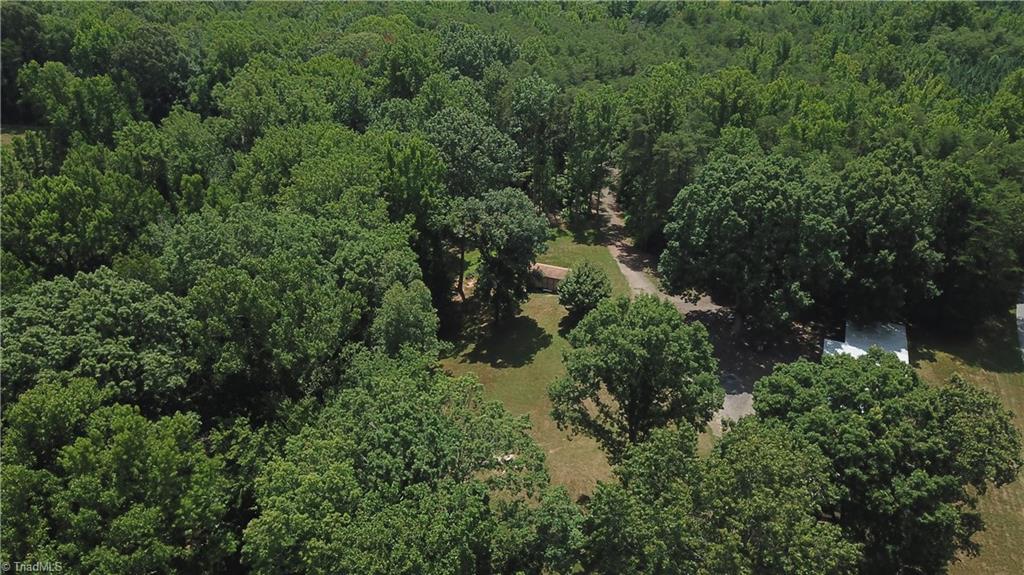 351 Newton Road Ruffin, NC 27326 - Photo 28 of 29