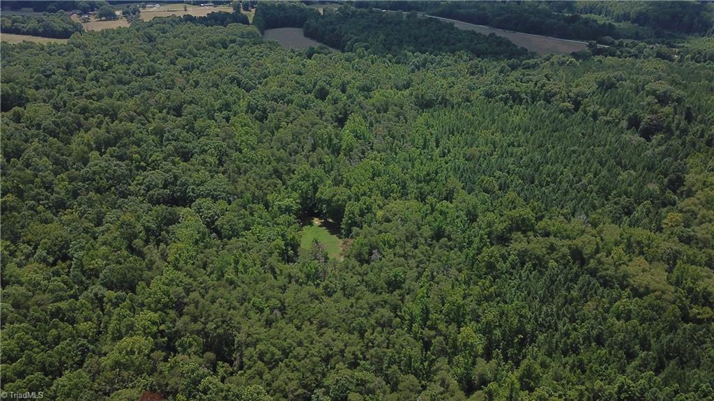 351 Newton Road Ruffin, NC 27326 - Photo 29 of 29