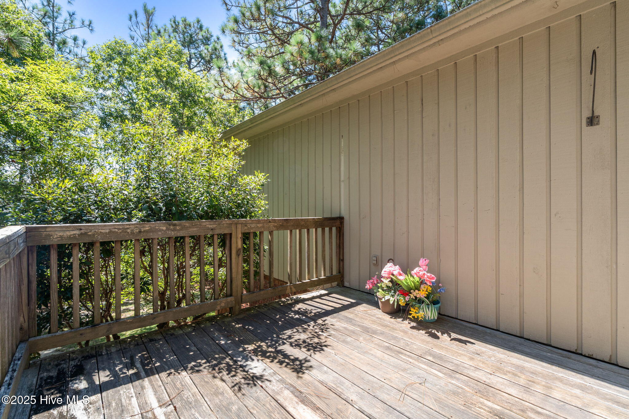 116 Sherwood Road West End, NC 27376 - Photo 41 of 67 42-web-or-mls-DSC09253