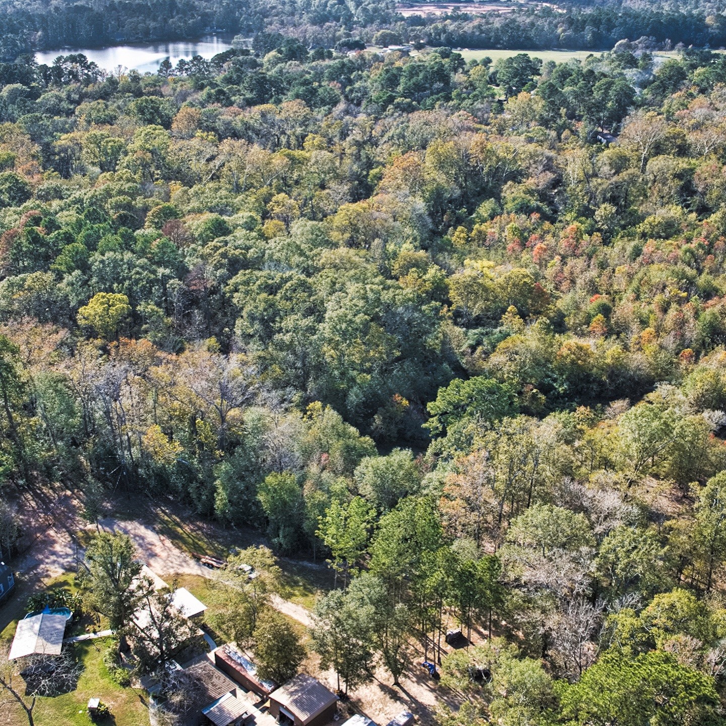 468-a Royal Creek Road Conroe, TX 77303 - Photo 12 of 15