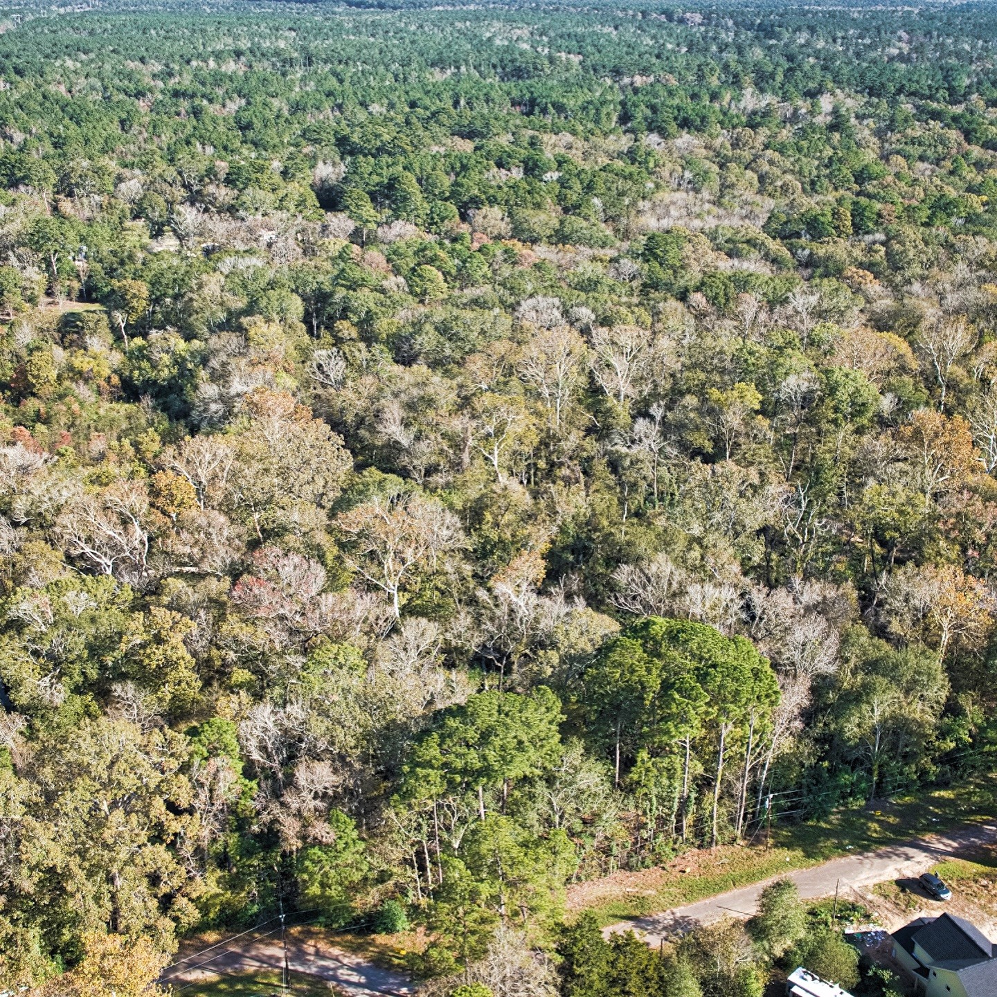 468-a Royal Creek Road Conroe, TX 77303 - Photo 13 of 15