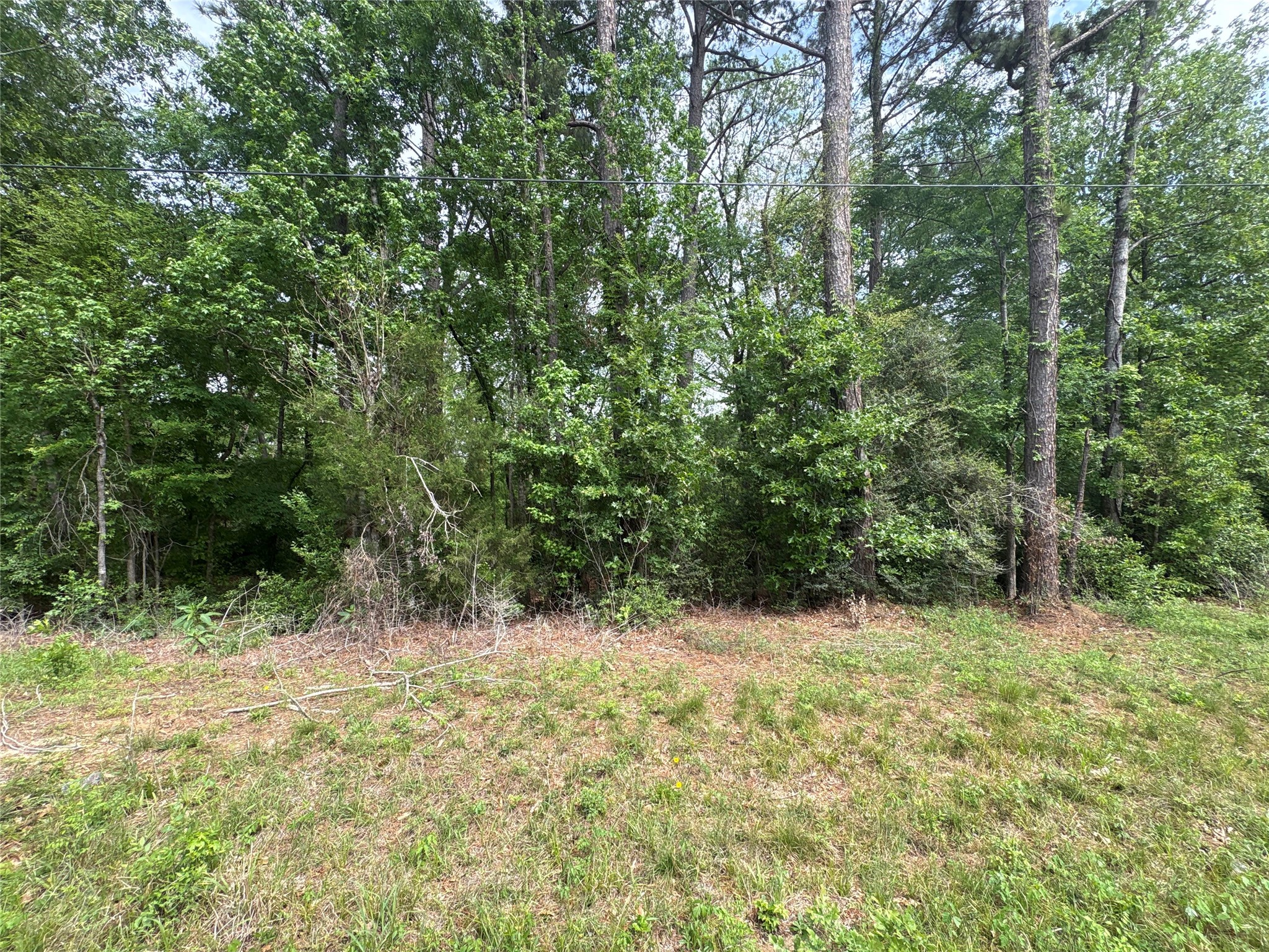 468-a Royal Creek Road Conroe, TX 77303 - Photo 2 of 15